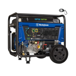 WGen11500 Gas Generator