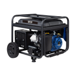 WGen5300 Gas Generator - Image 2