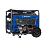 WGen5300 Gas Generator